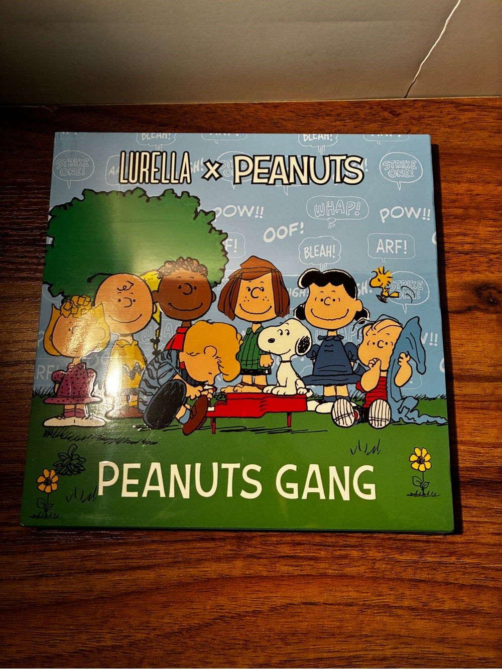 Lurella x Peanuts "Peanuts Gang" Decorative Box - Blue & Green